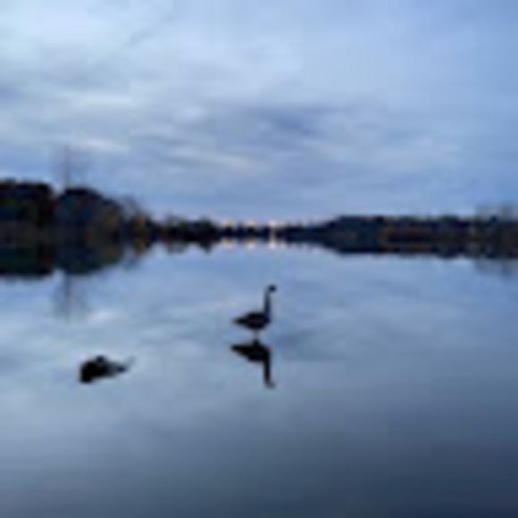 Meet your Posher, Bushra - Picture 1 of 1